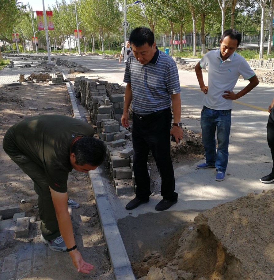 杨大刚现场论证路牙石维修方案_副本_副本.jpg